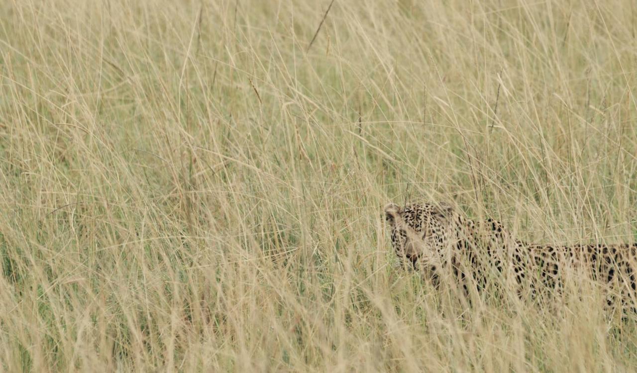 Ololo Safari Lodge Nairobi Kültér fotó