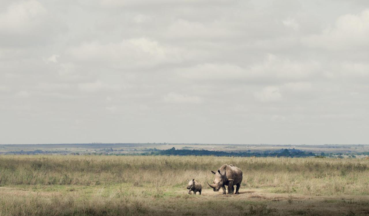 Ololo Safari Lodge Nairobi Kültér fotó